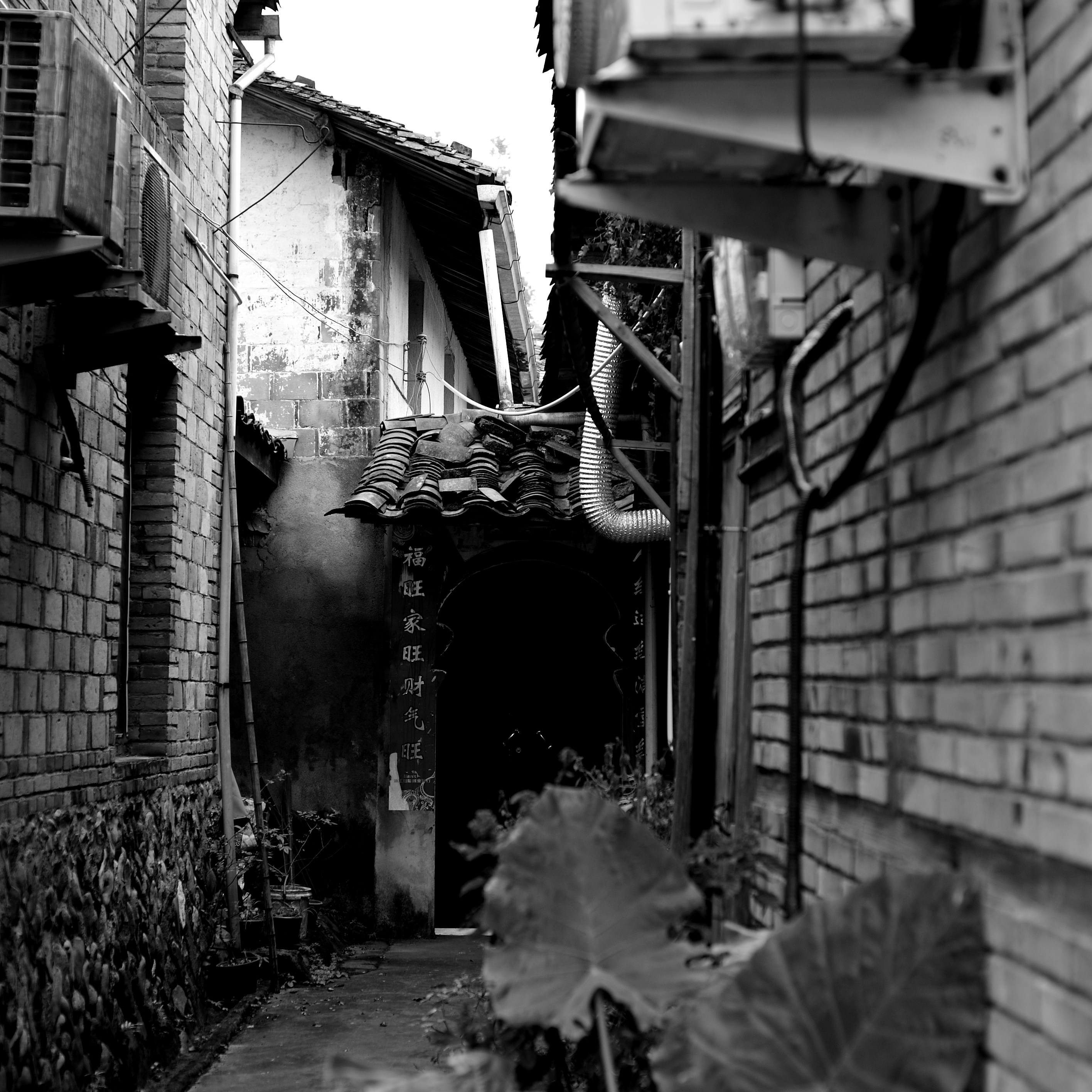 Photo by fan_world2020