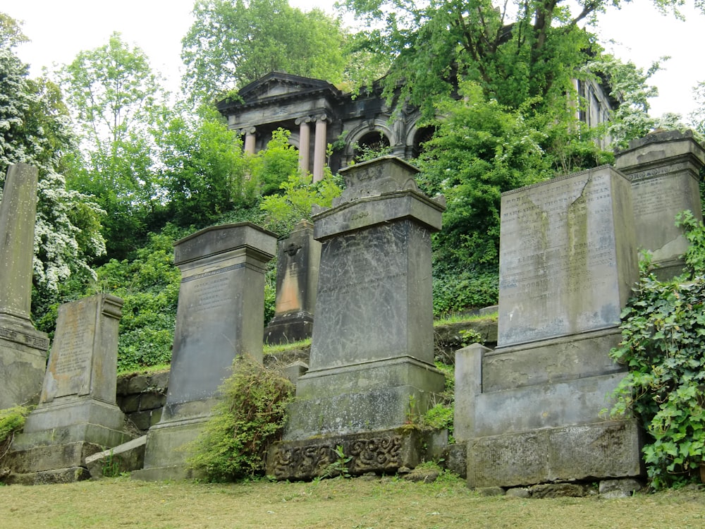 gray concrete pillars on green grass field during daytime