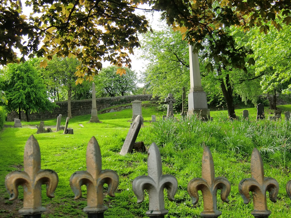 green grass field with green trees