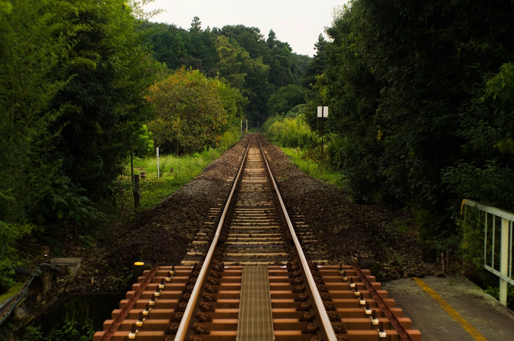 rail de train brun entre les arbres verts pendant la journée