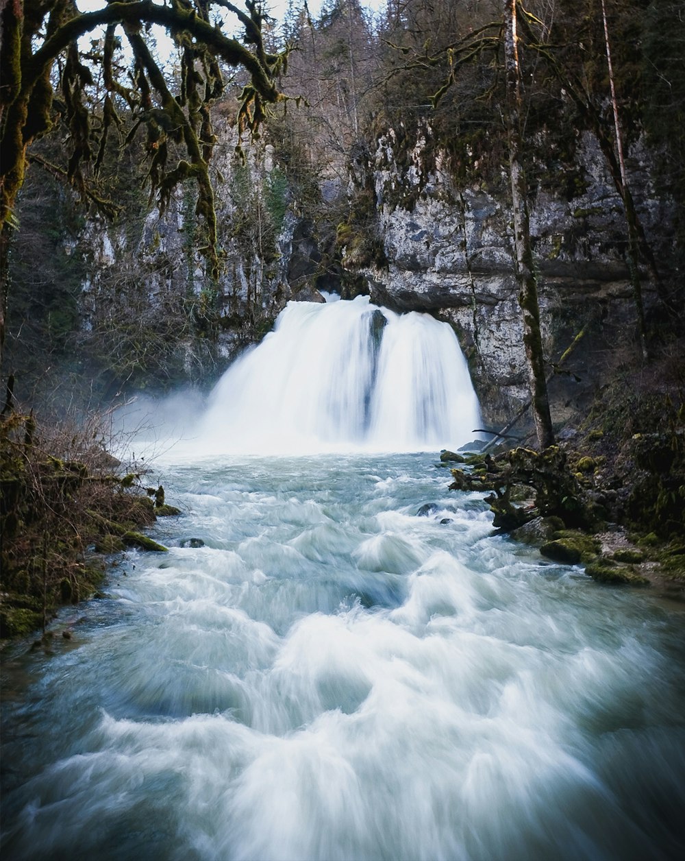 waterfalls in forest during daytime