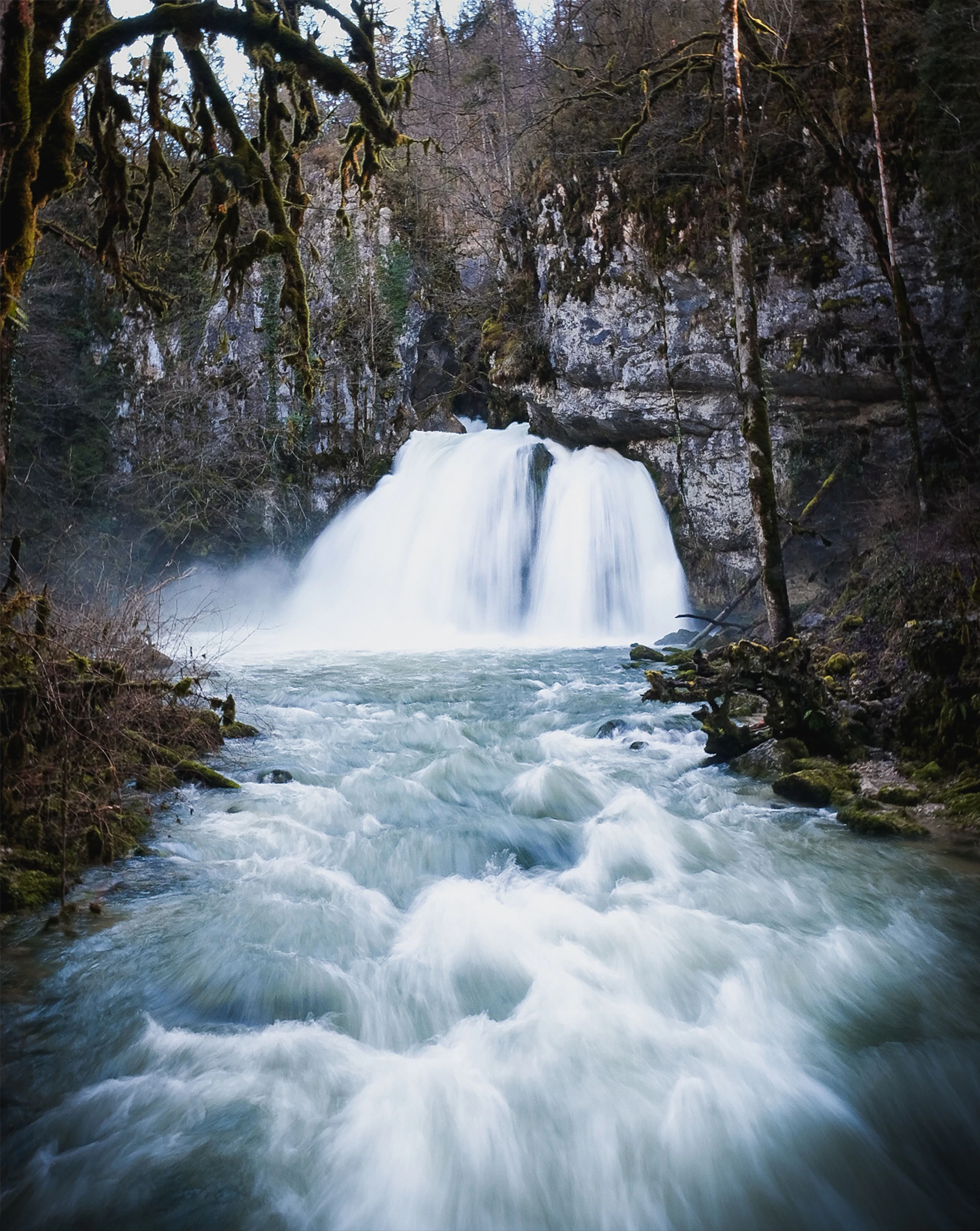 Cascade jurassienne en voiles d'eau dans une forêt profonde