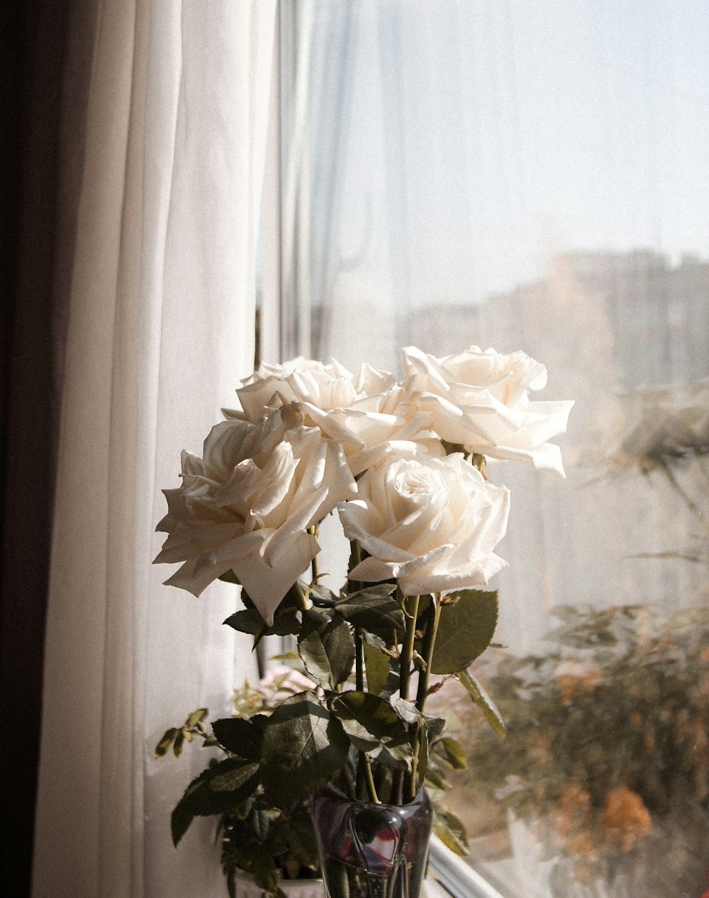 white flower in front of white window curtain