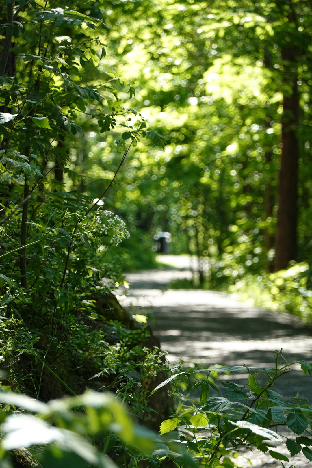 travelers stories about Forest in Ekebergparken, Norway