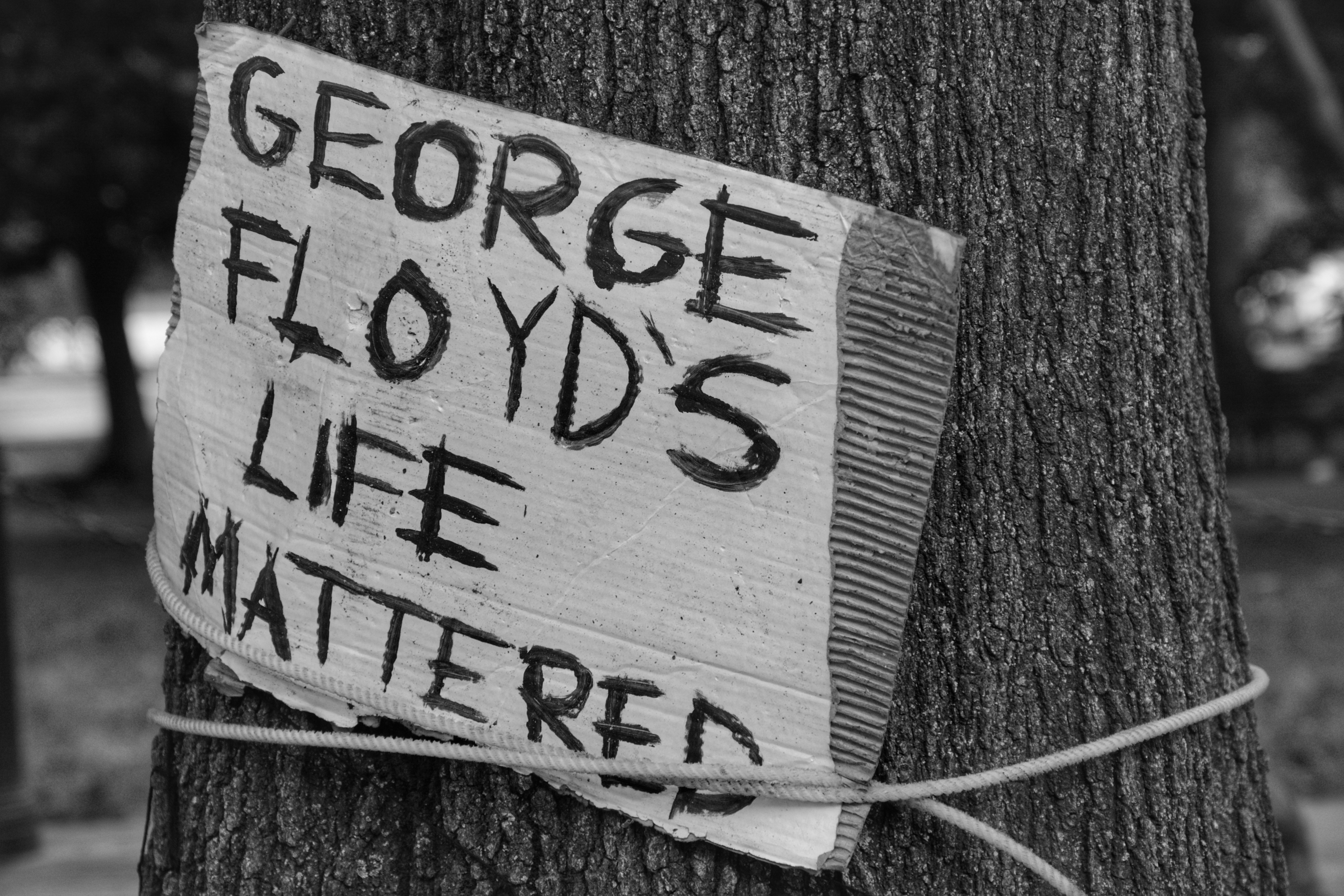 George Orwell 1984 Wishes: Haunting Quotes to Share