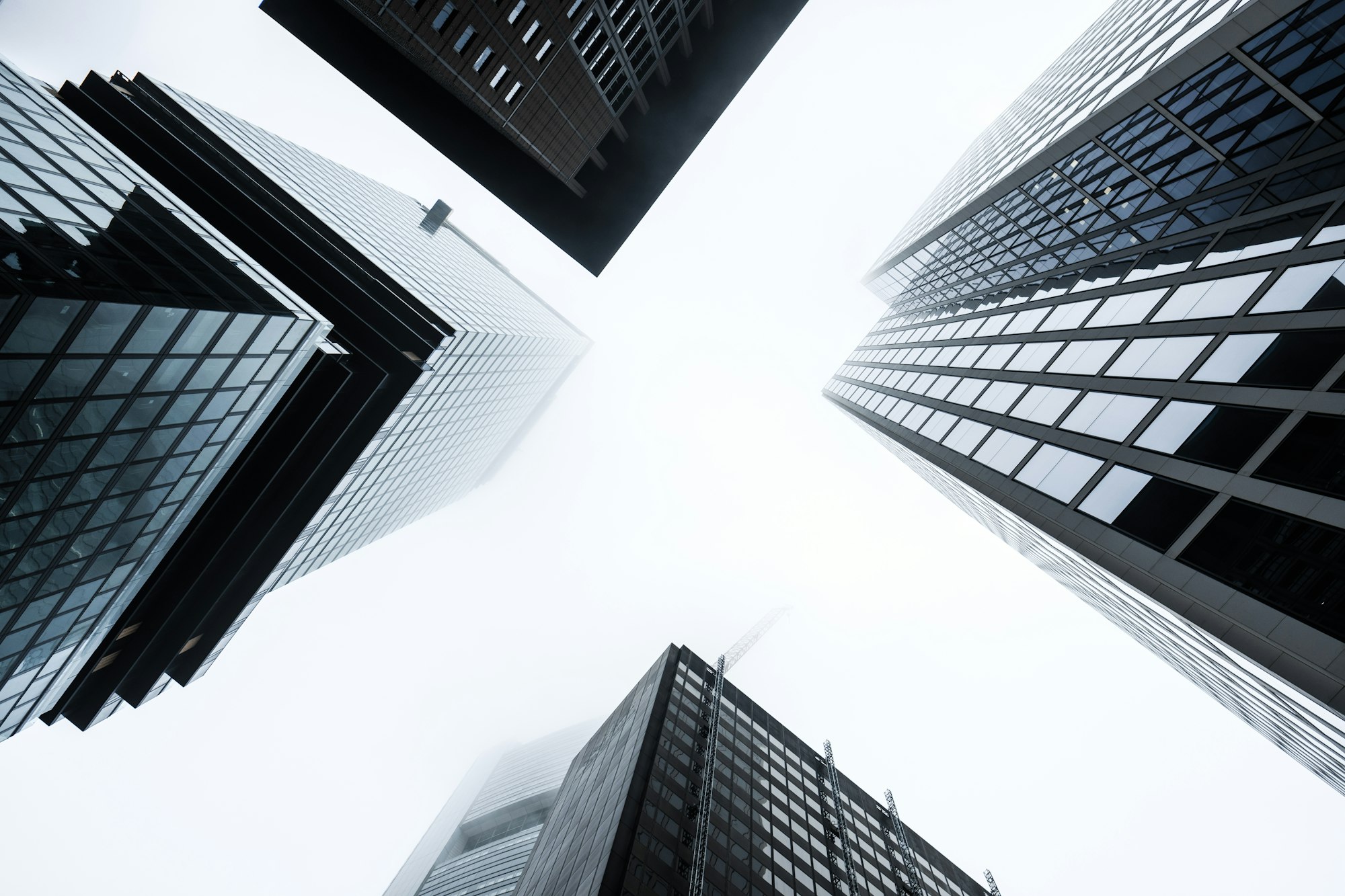 Skyscrapers in the morning fog.