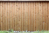 brown wooden fence with white flowers