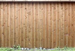 brown wooden fence with white flowers