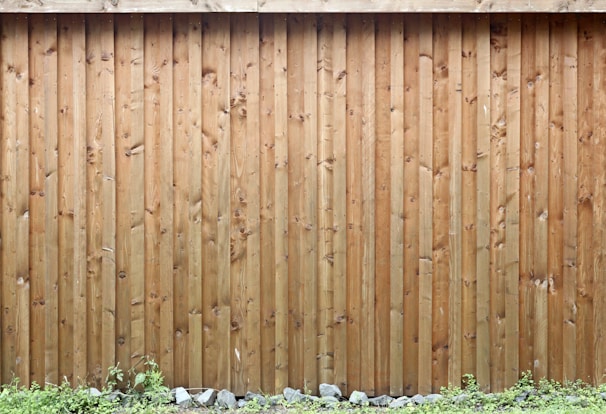 brown wooden fence with white flowers