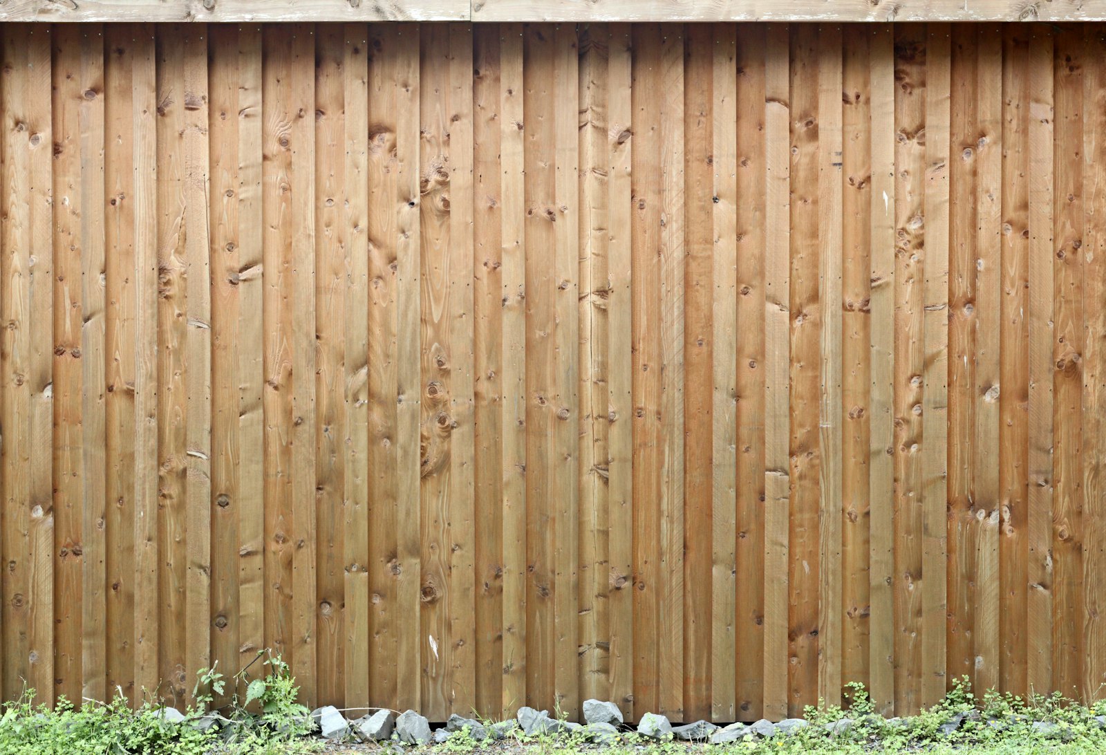 Western red cedar privacy fence