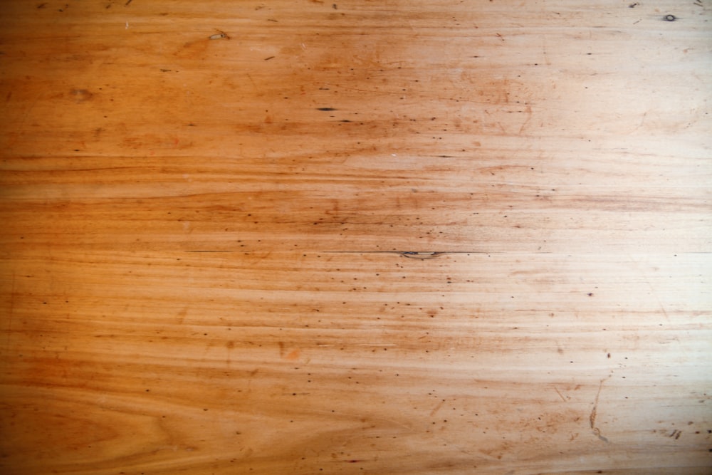 person in black shoes standing on brown wooden floor