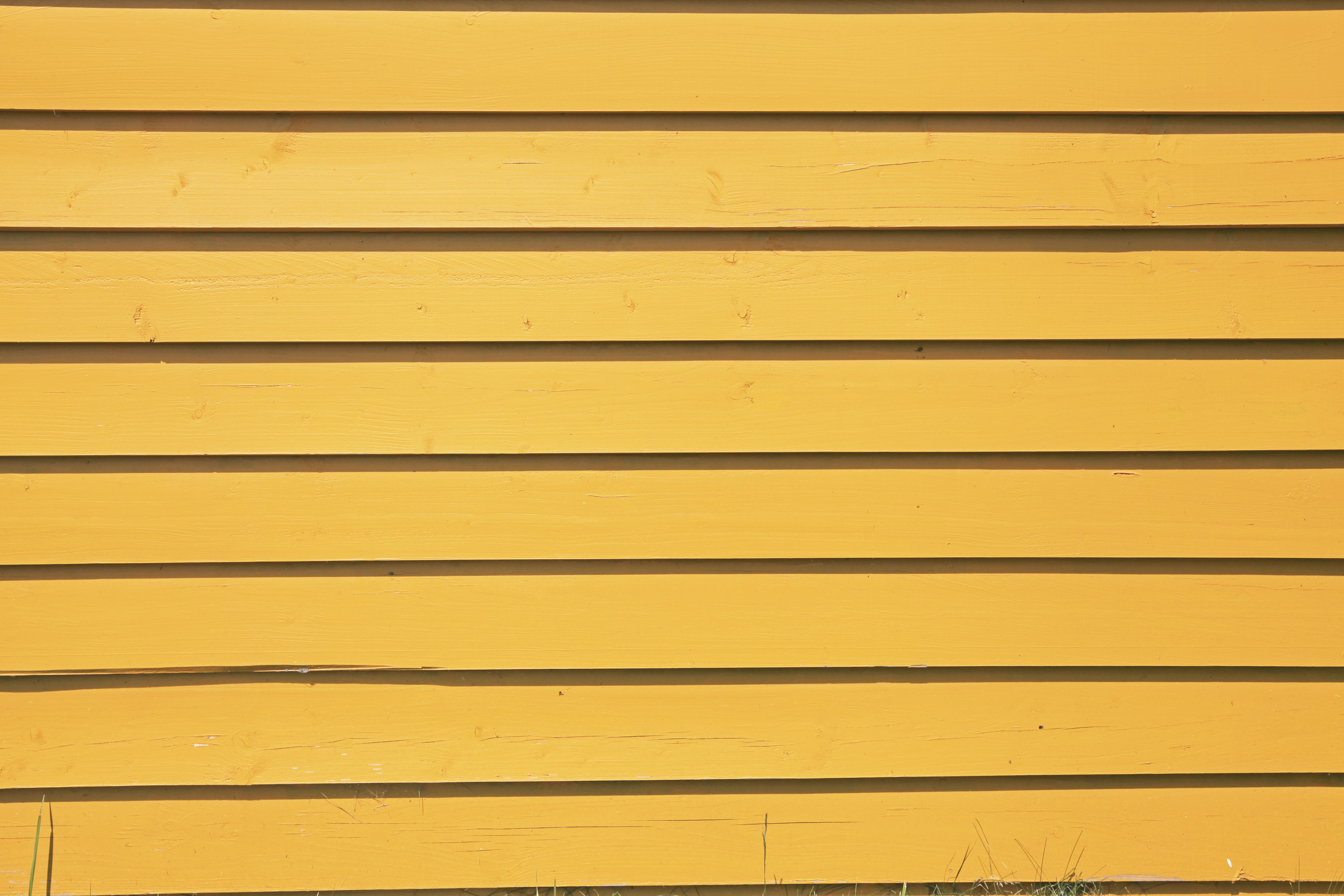 Photo by paladin_community