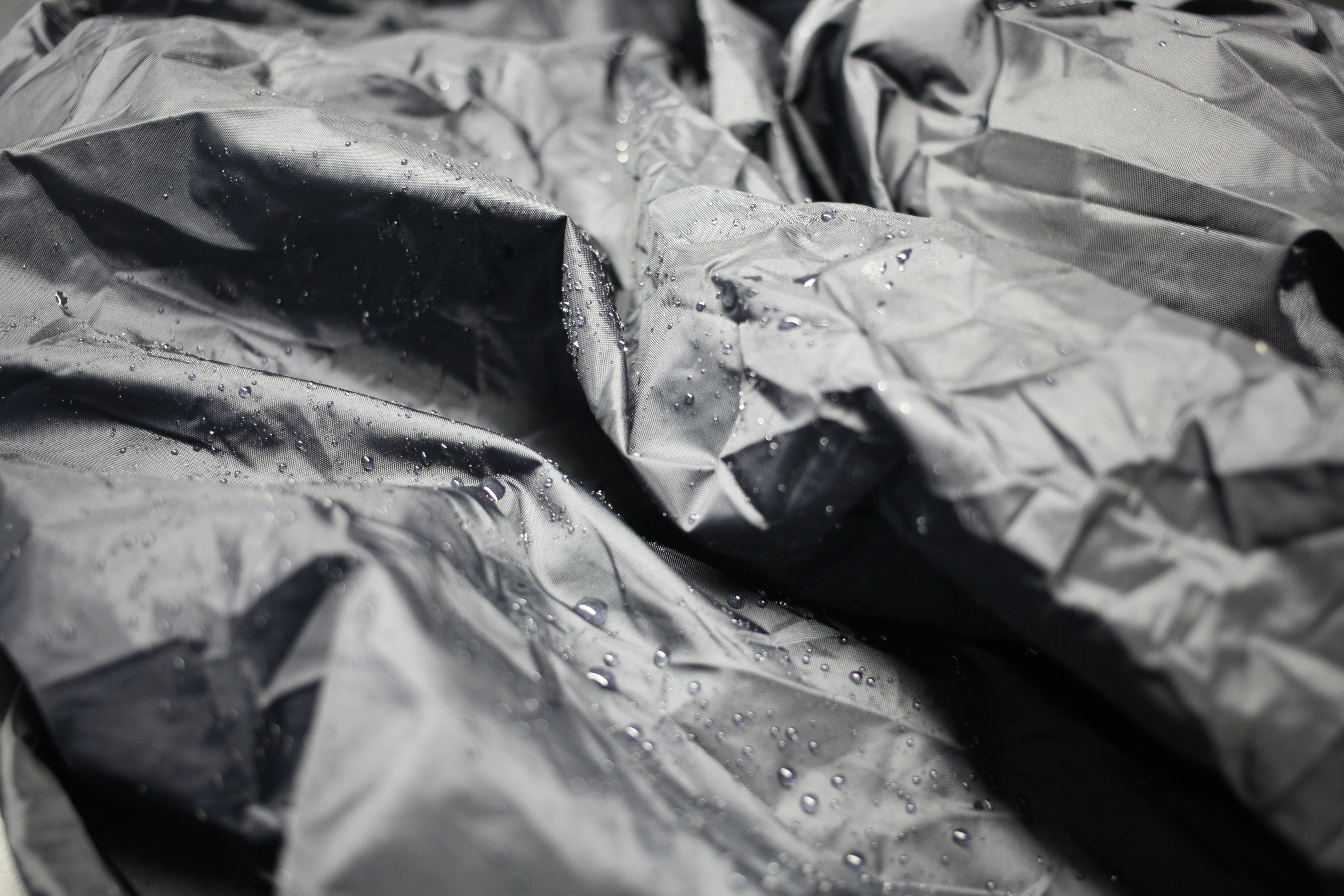 Photo by paladin_community