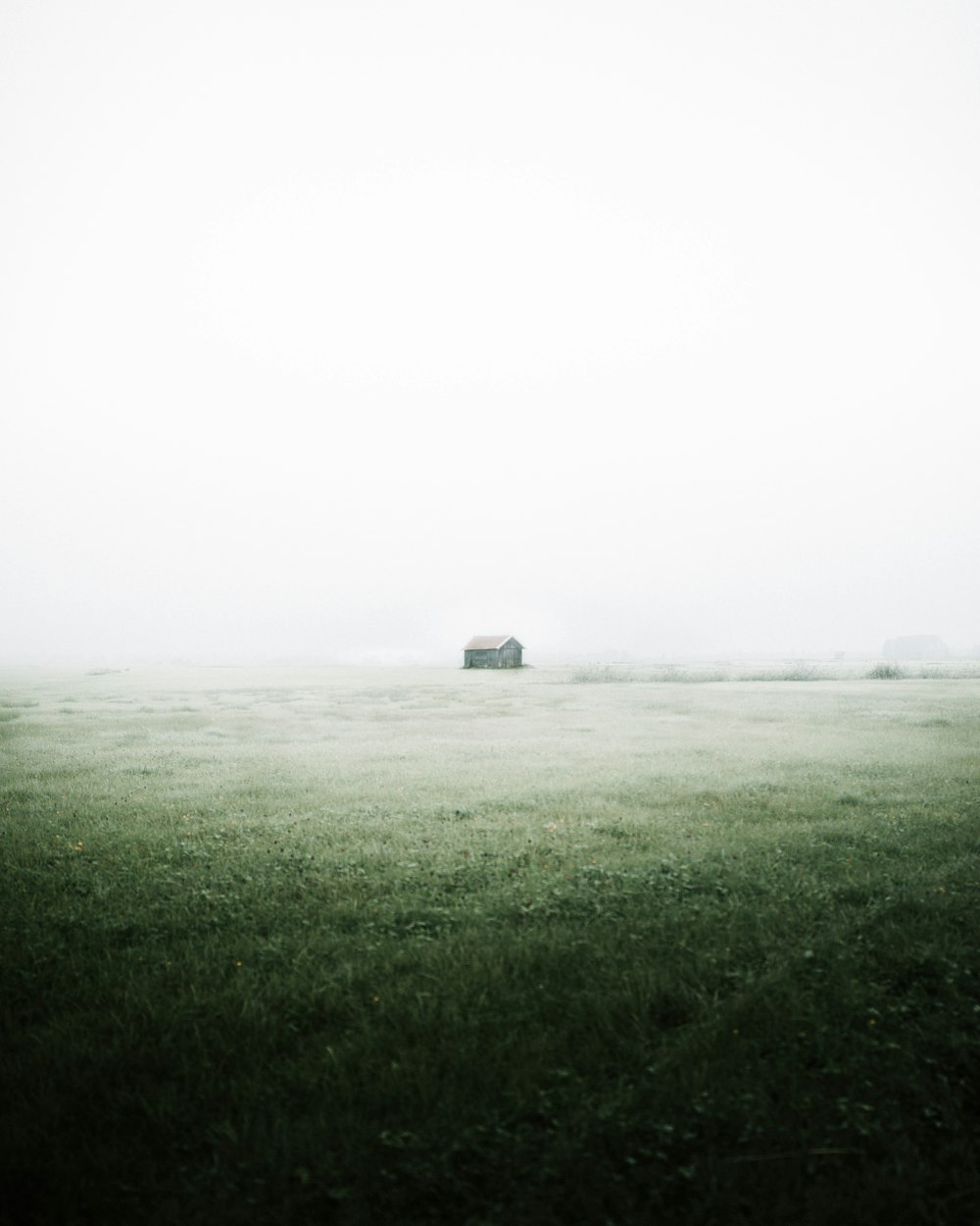 green grass field under white sky during daytime