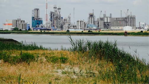 green grass field near body of water during daytime