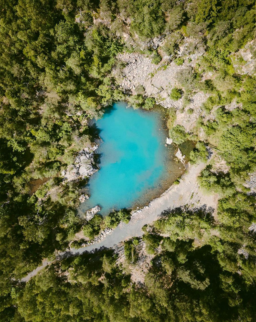 Vue aérienne d’arbres verts et de plans d’eau pendant la journée