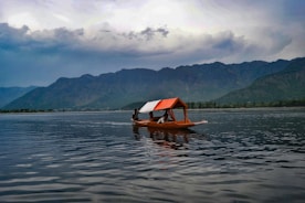 brown wooden boat on body of water during daytim