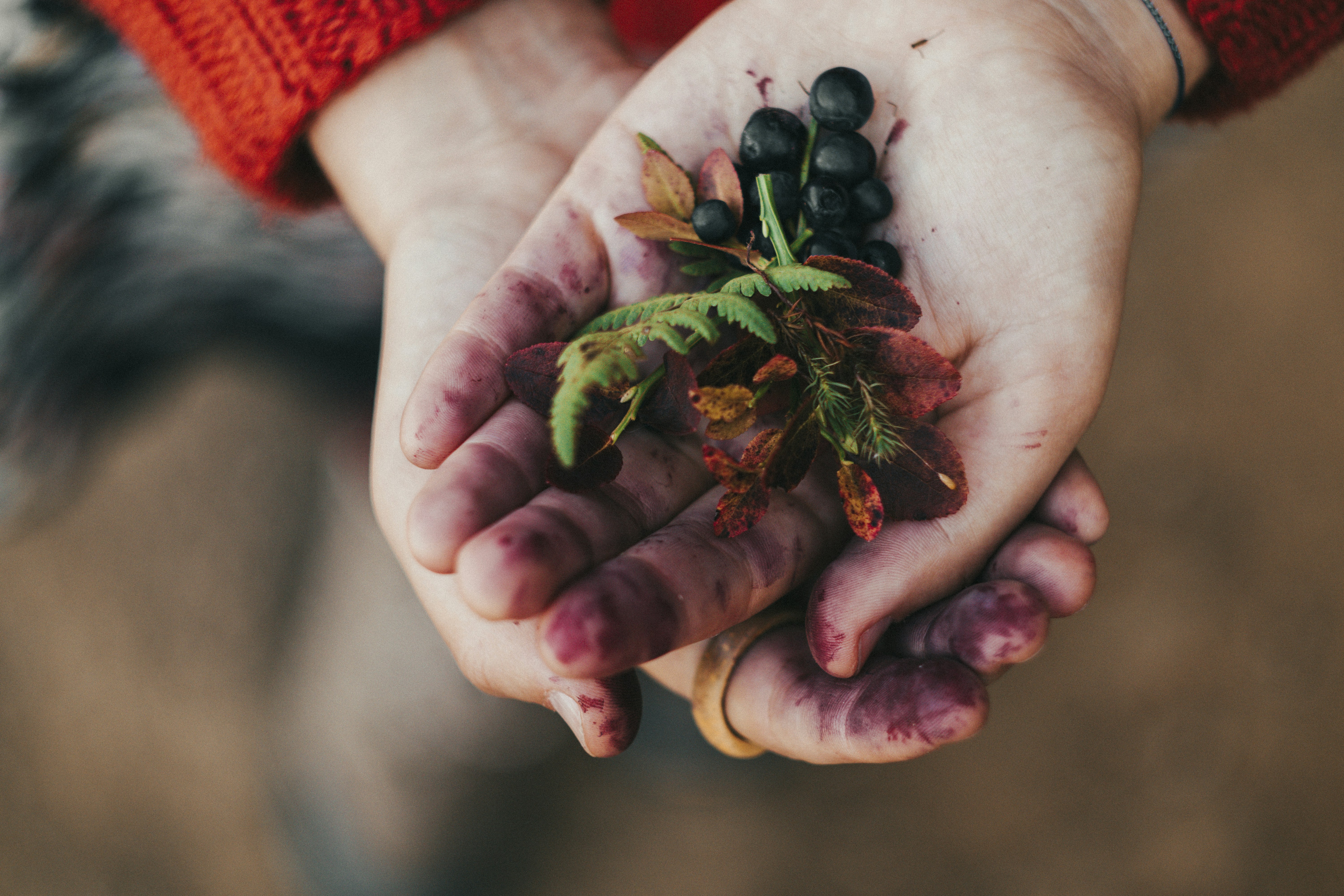 Photo by zelenagilochka