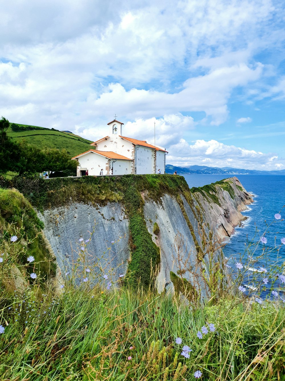 white and brown concrete house on green grass hill near body of water during daytime