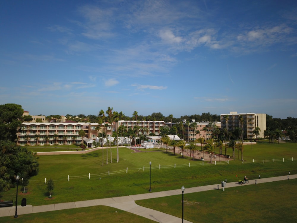 green grass field near city buildings during daytime