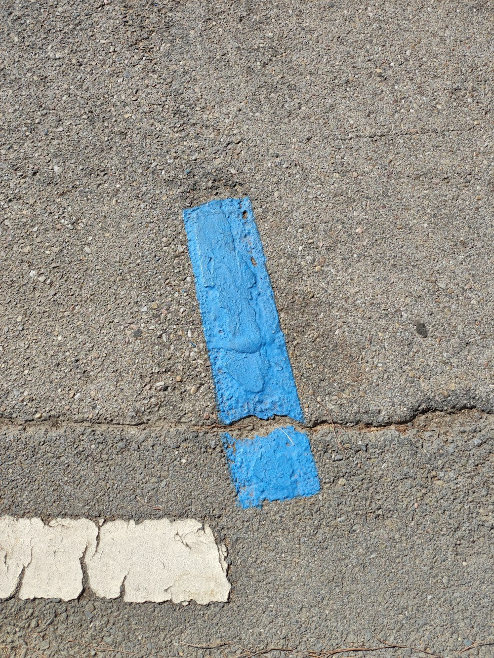 blue rectangular board on gray concrete floor
