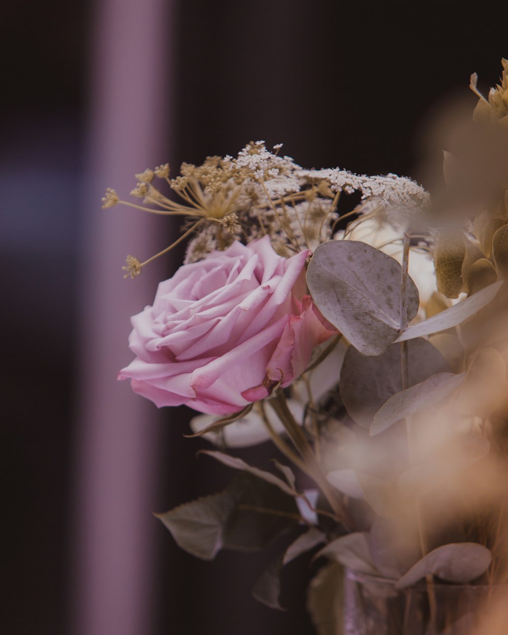 pink flower with white flower