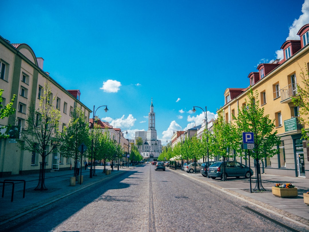 photo of Lipowa Town near Branicki Palace