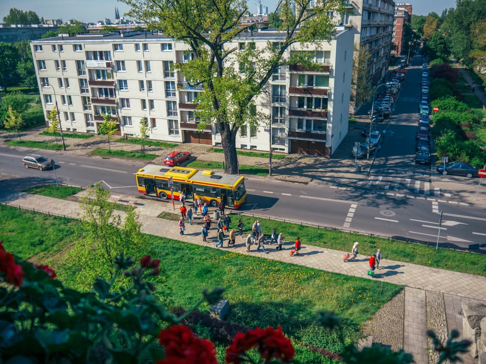 people walking on street near buildings during daytime