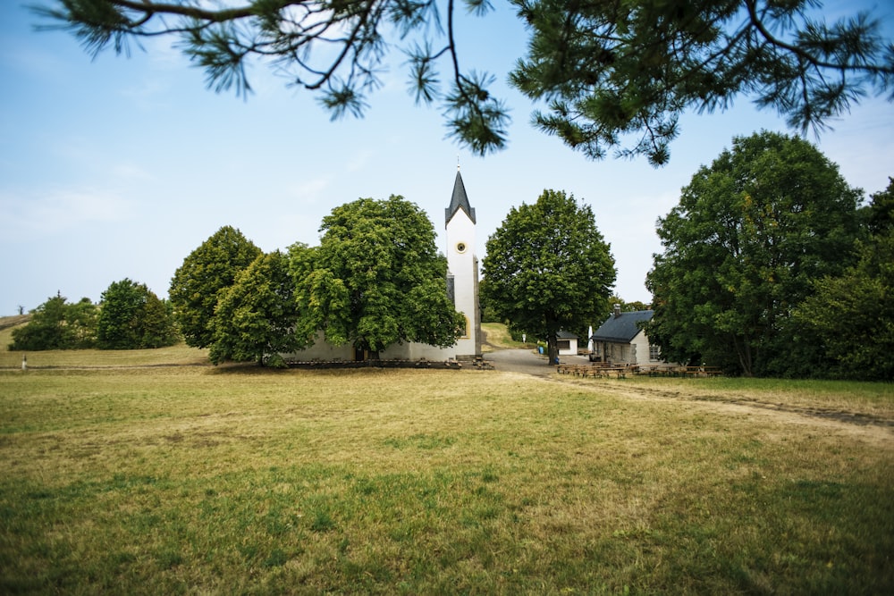 green grass field with trees and houses