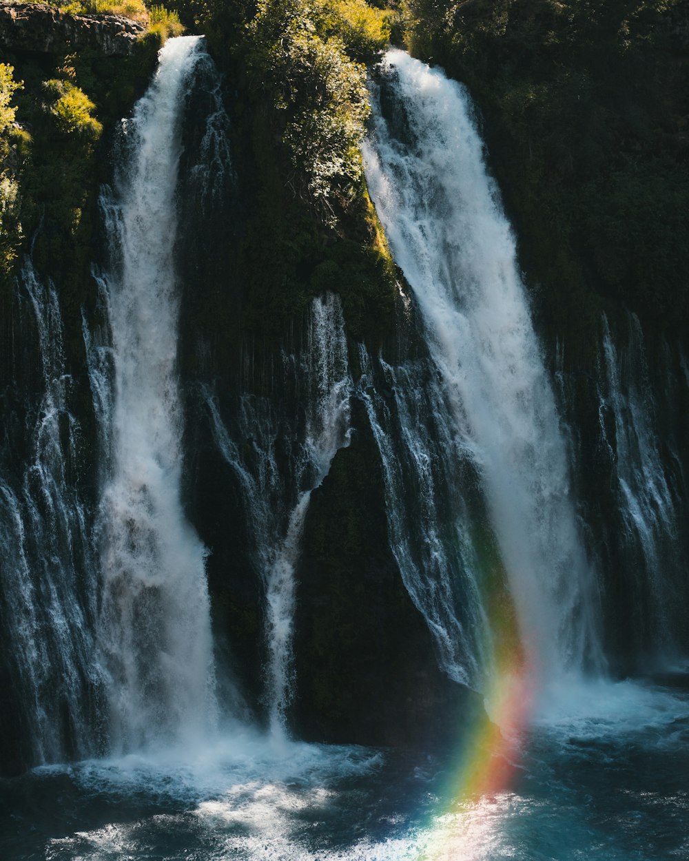 water falls in the middle of the forest