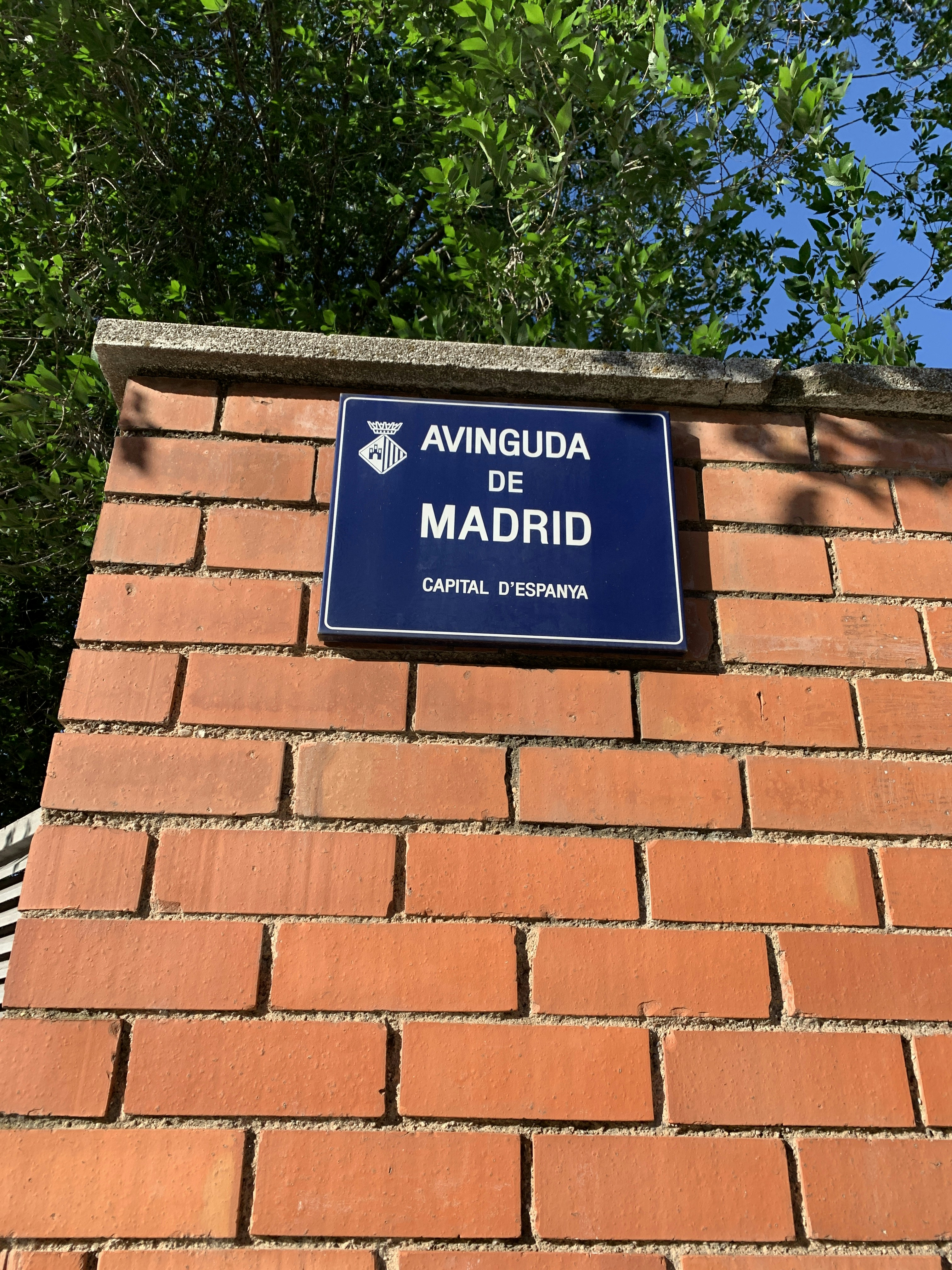 Discovering Madrid: The Heartbeat of Spain