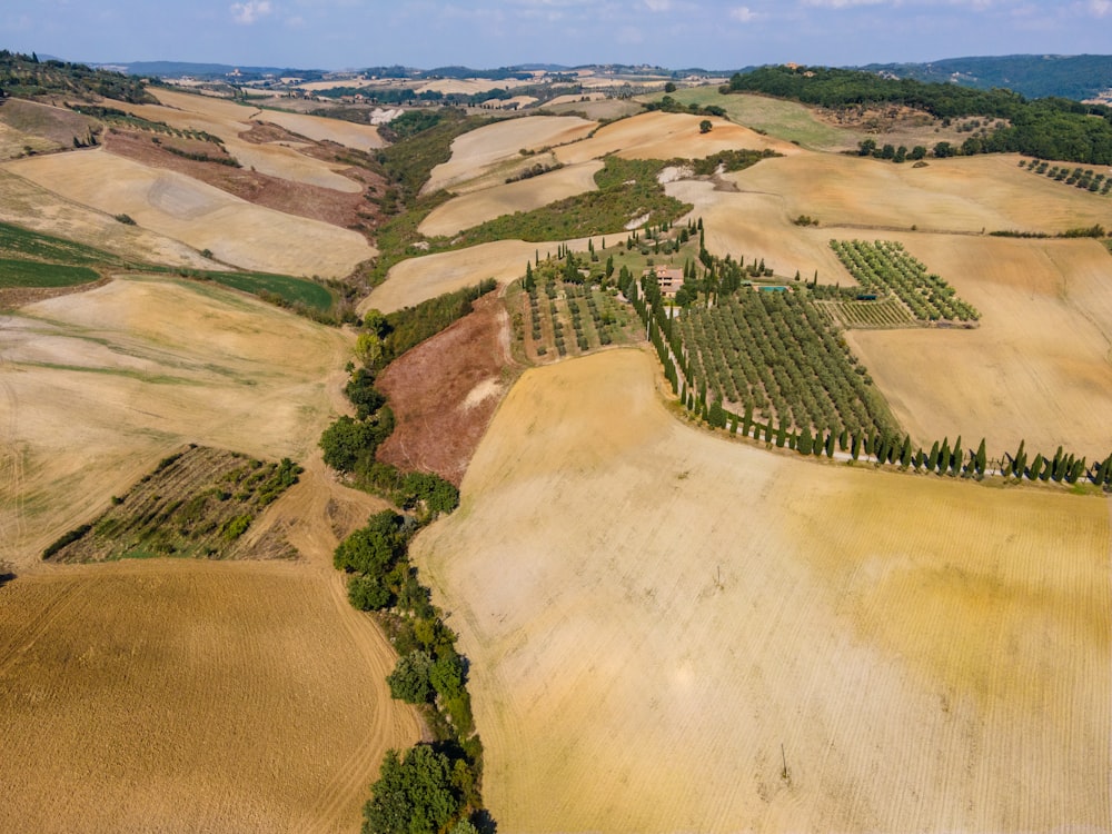 Vista aérea de árboles verdes y campo marrón durante el día