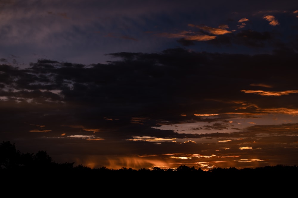 silhouette of trees during sunset