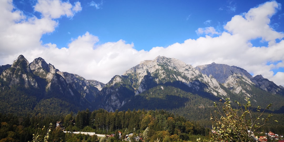 Hill station photo spot BuÈ™teni Moieciu