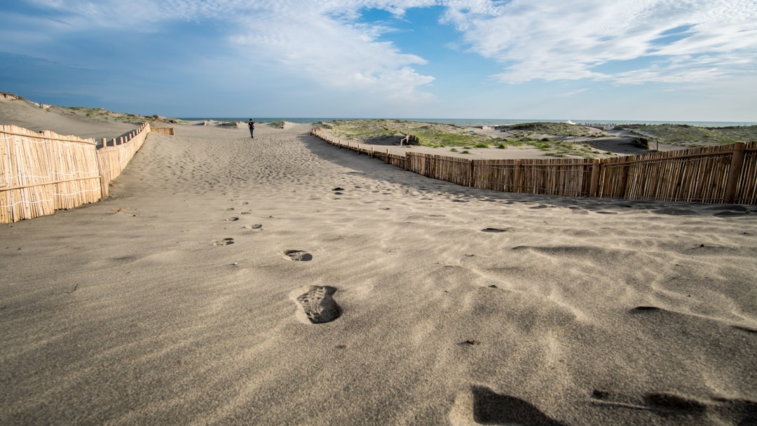 Beach photo spot Nakatajima Sand Dunes Japan