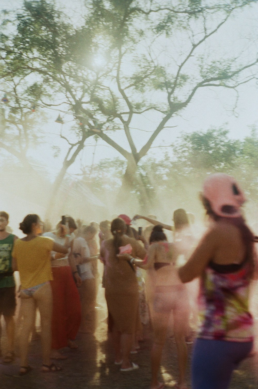 people standing near green trees during daytime