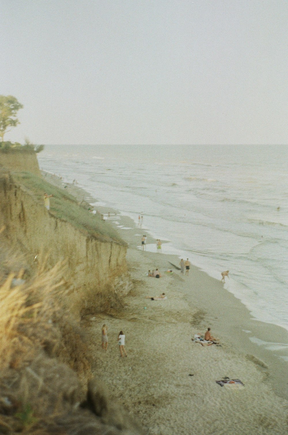 people on beach during daytime