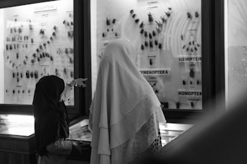 Two people are observing a collection of insects displayed in glass cases at a museum. Labels such as 'COLEOPTERA' and 'HEMIPTERA' can be seen, indicating different types of insects.