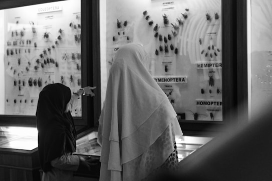 Two people are observing a collection of insects displayed in glass cases at a museum. Labels such as 'COLEOPTERA' and 'HEMIPTERA' can be seen, indicating different types of insects.