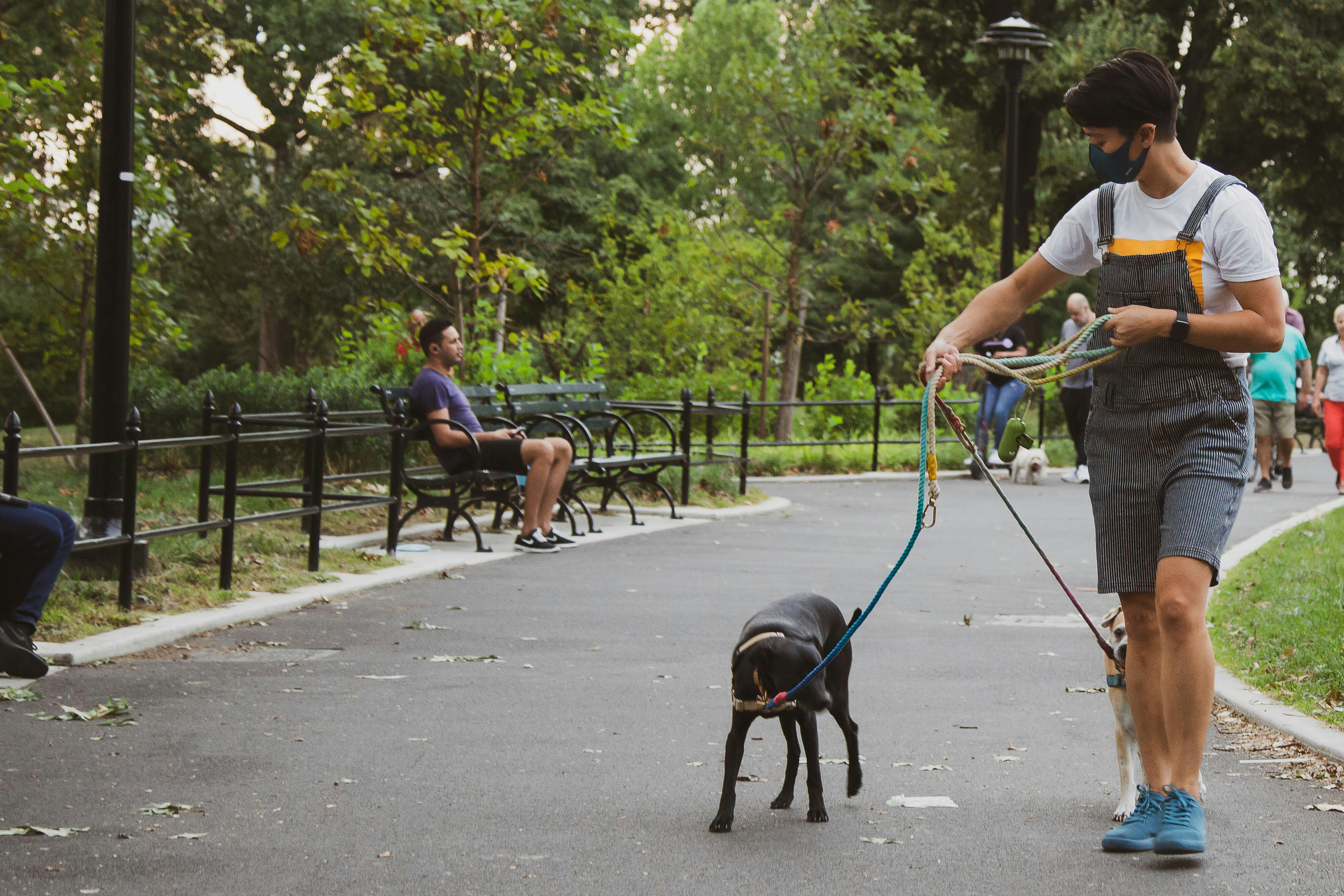 man in white t-shirt and blue shorts holding black short coat dog