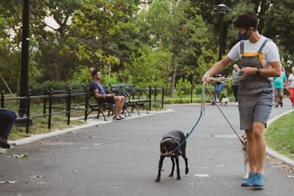 man in white t-shirt and blue shorts holding black short coat dog