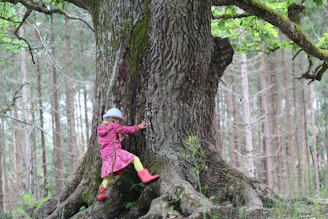 girl in pink jacket and pink pants climbing on brown tree during daytime
