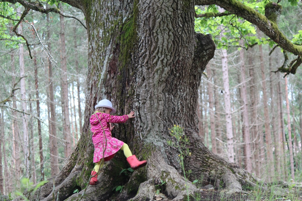 ピンクのジャケットとピンクのズボンを着た女の子が昼間に茶色の木に登る