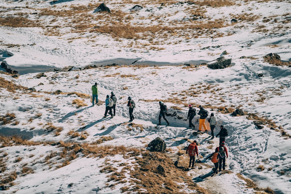 昼間、雪原を歩く人々