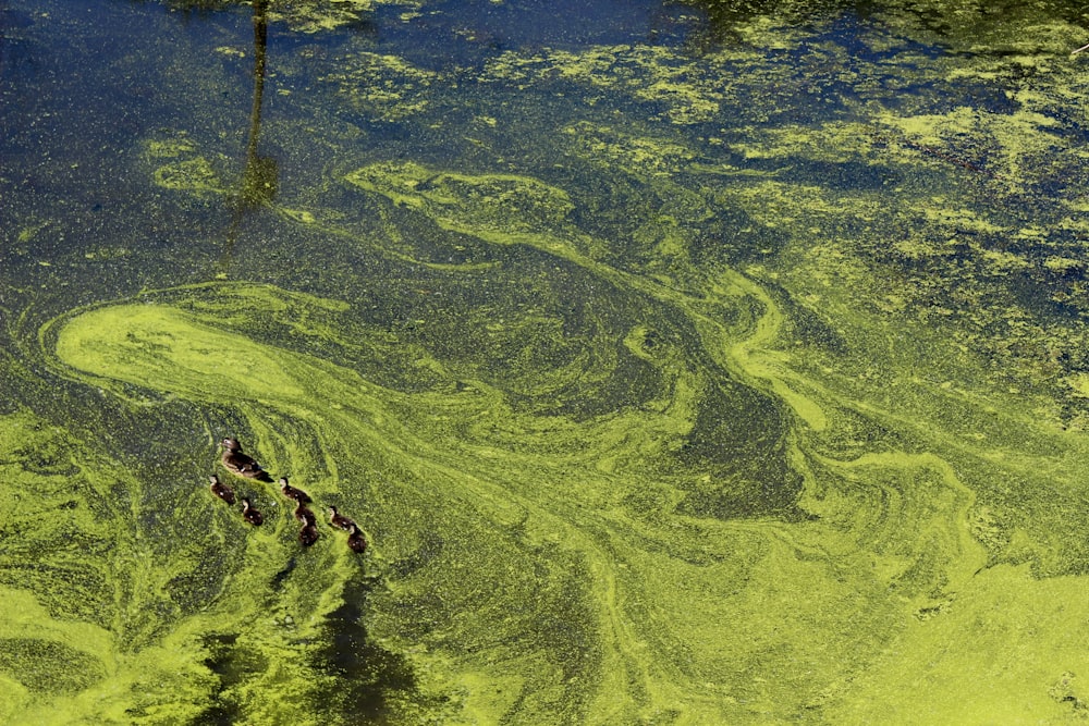 pittura astratta verde e blu