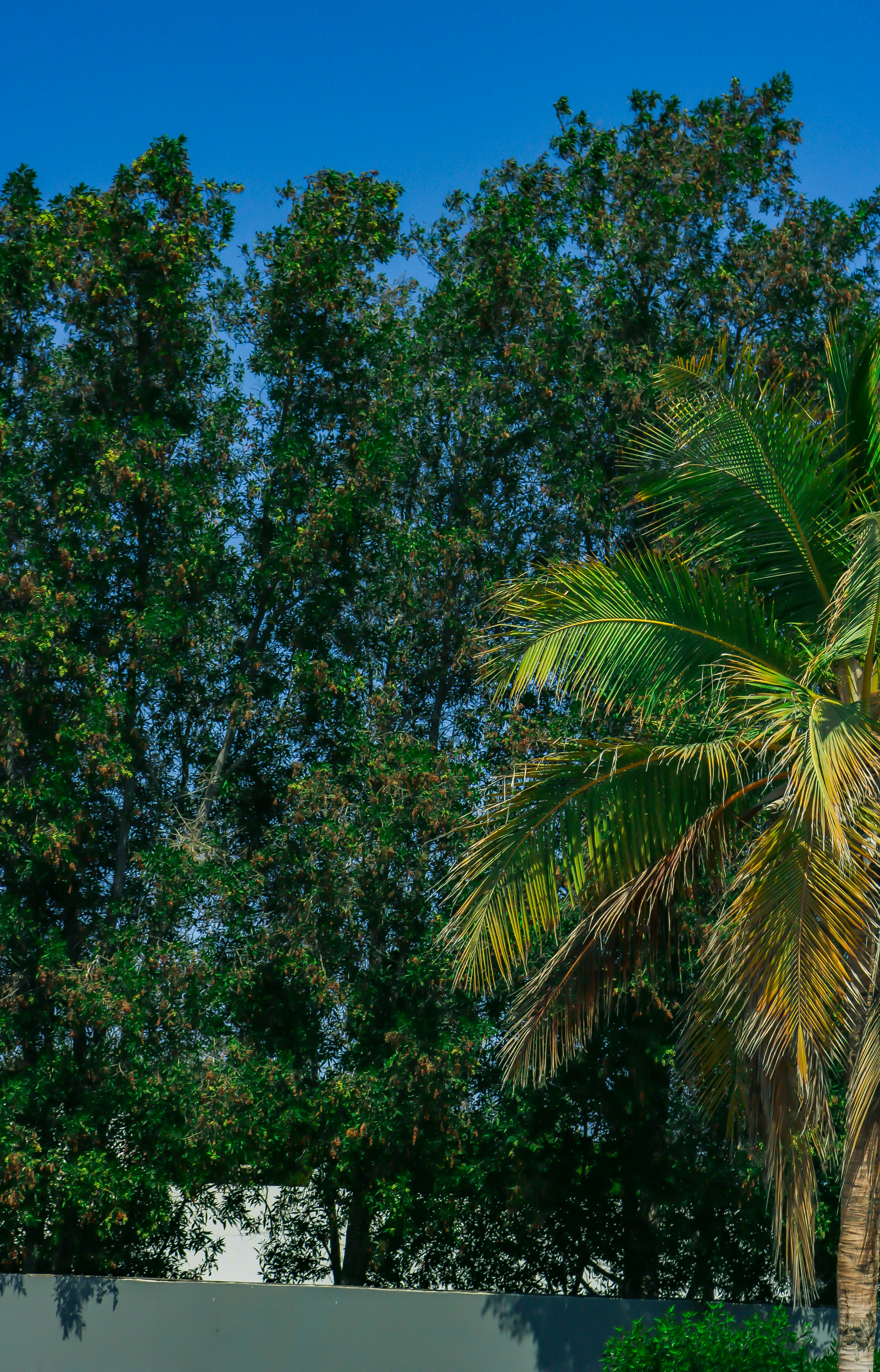 Photo by yasser_mutwakil