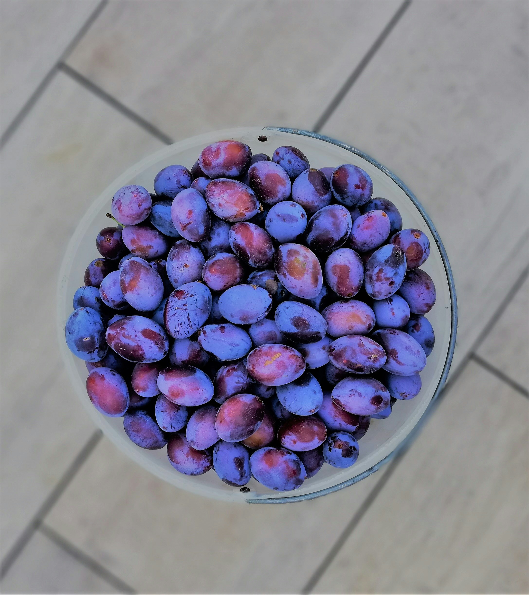 Fresh ripe purple plums with glossy skin arranged on a wooden surface with soft natural light, rich deep purple tones