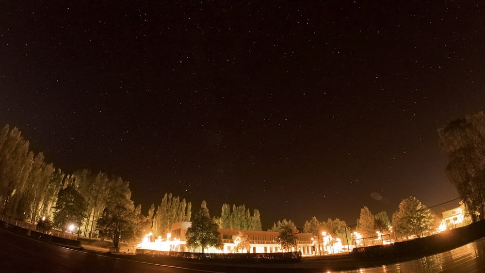 árboles y edificios durante la noche