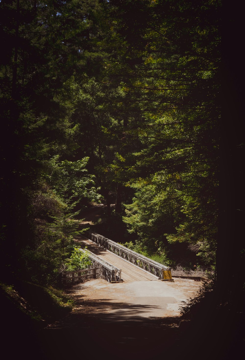 green trees near brown wooden bridge