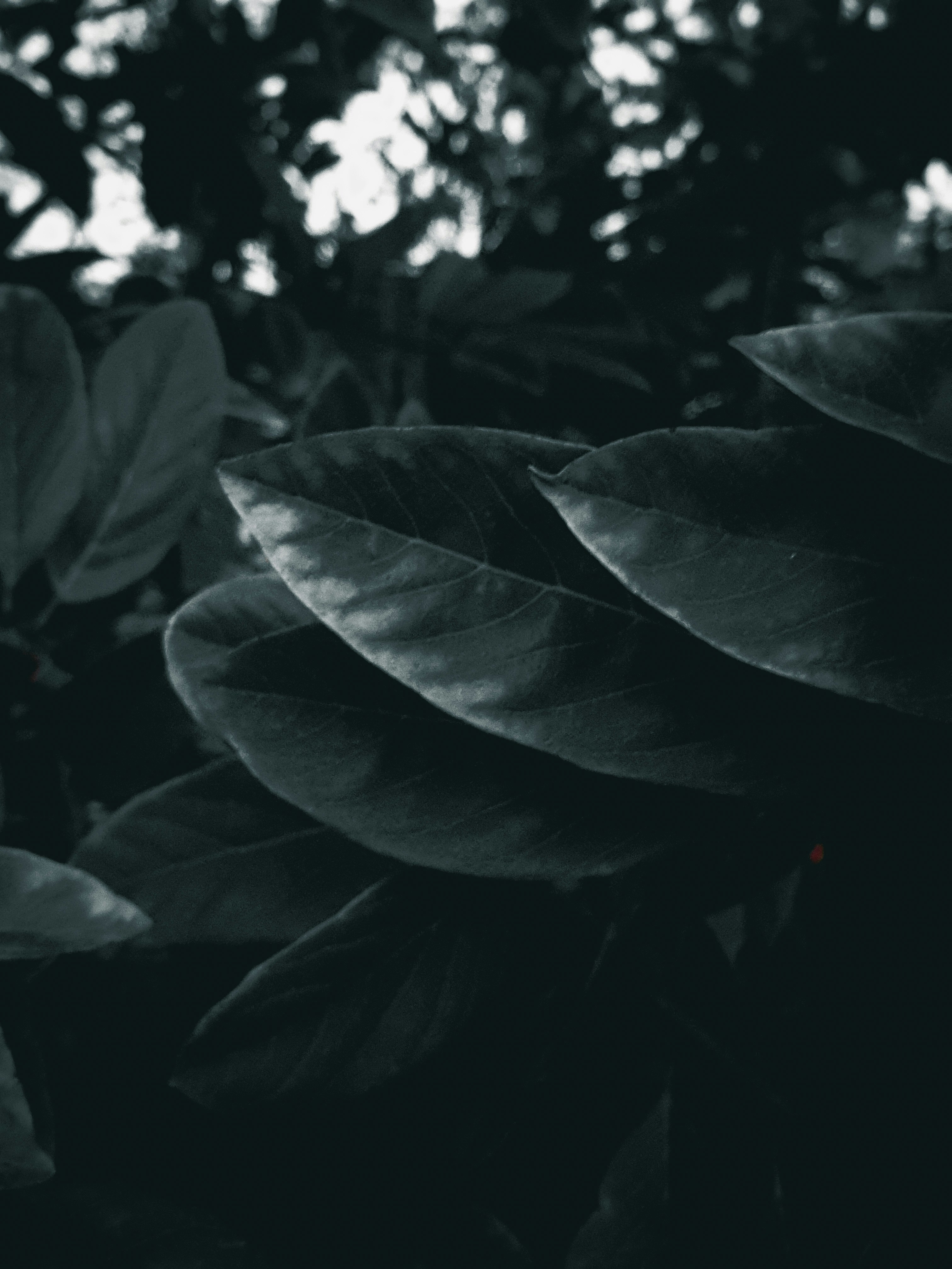 Photo by yashwantpatel